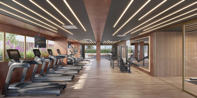 Bem Moema-Perspectiva ilustrada do fitness